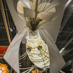 Koi Suspension Lamp
