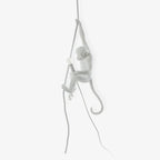 Langlo Monkey Pendant Lighting