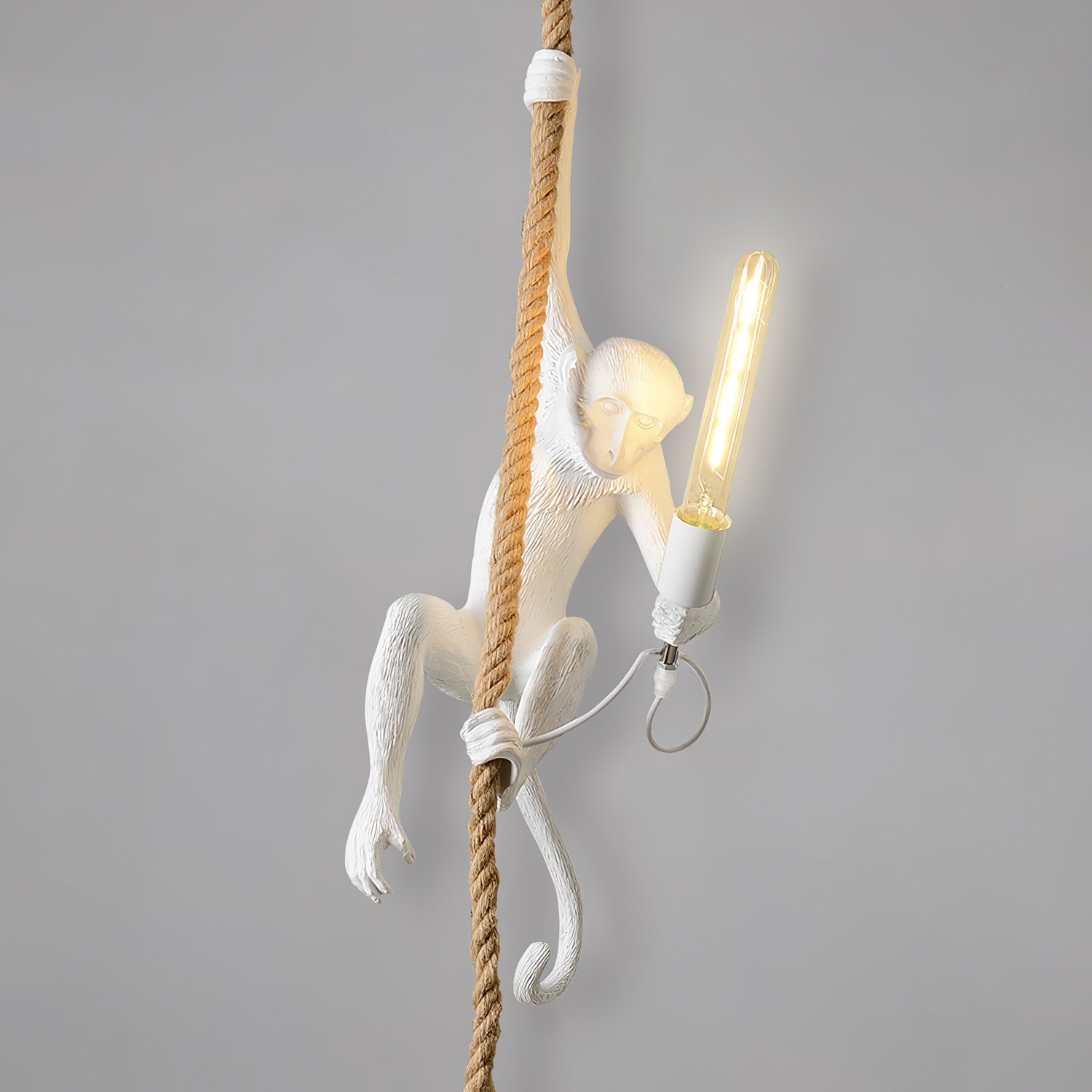 Langlo Monkey Pendant Lighting