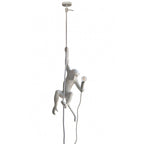 Langlo Monkey Pendant Lighting