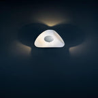 Nanik Flush Mount Lighting