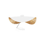 Nanik Flush Mount Lighting