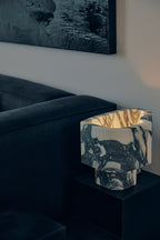 Offset Table Lamp