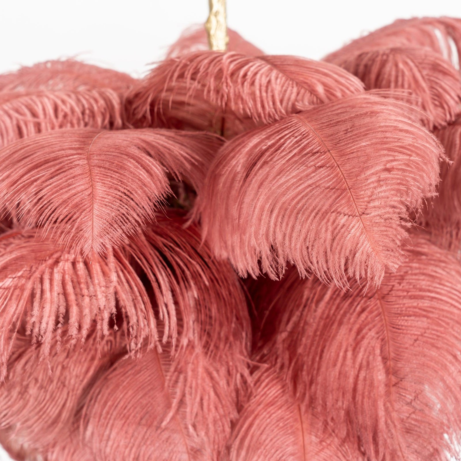 Fero Ostrich Feather Chandelier