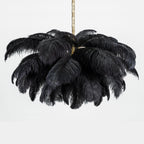 Fero Ostrich Feather Chandelier