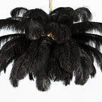 Fero Ostrich Feather Chandelier
