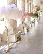 Fero Ostrich Feather Floor Lamp