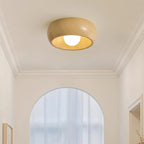Pansy Flush Mount Lighting