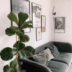Parentesi Pendant Lamp