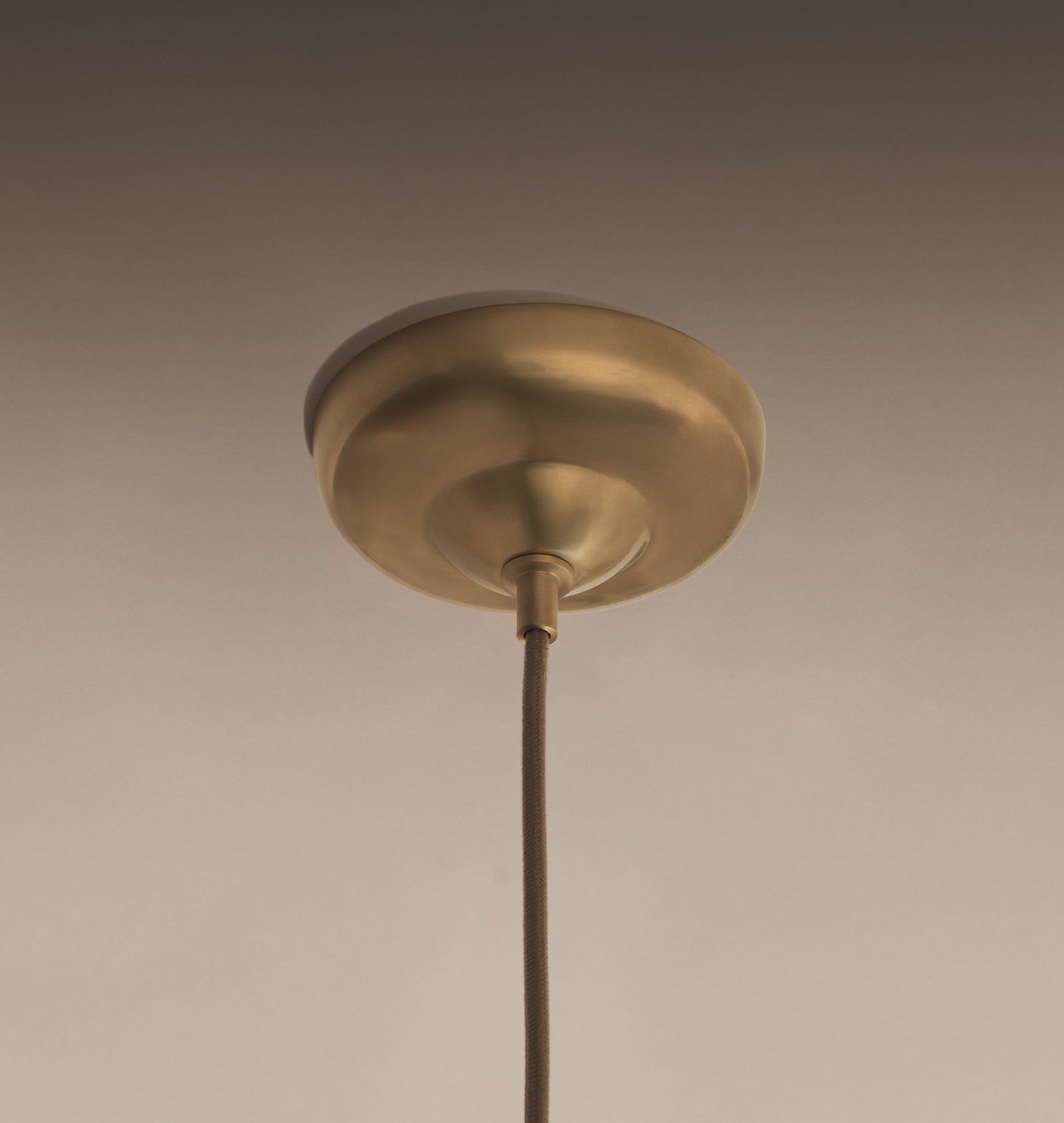 Petal Pendant Lamp