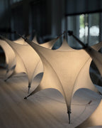 Polar Chandelier