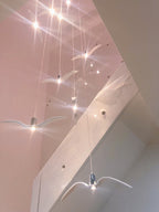 Cecily Gull Pendant Lighting