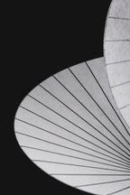 Serpentine Pendant Lamp