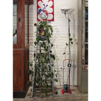 Toio Led Modern Floor Lamp