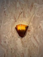 Vera Wall Sconce