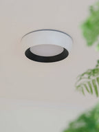 Wedell Ceiling Light