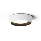 Wedell Ceiling Light