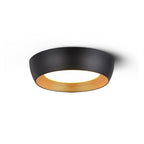 Wedell Ceiling Light